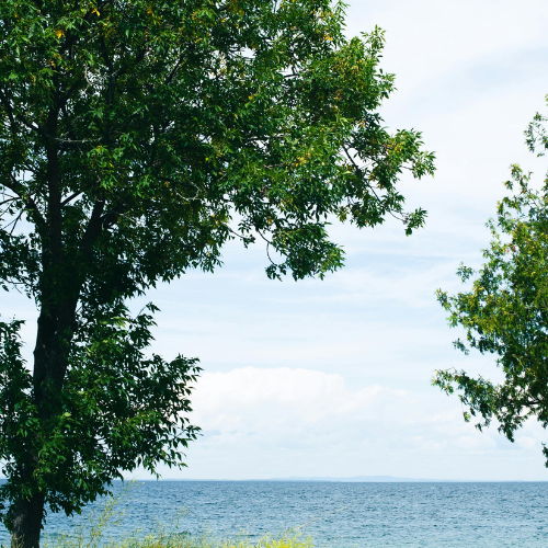 How We Helped Clients Generate $100,000 in Tax-Free Income in Retirement